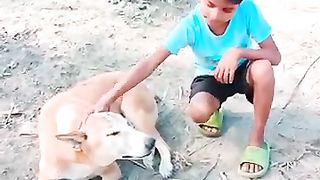 Saari_Duniya_Jaala_Denge_????_#viral_#youtubeshorts_#trending_#shorts(360p).