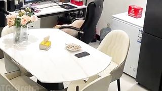 The dog couldn't resist the owner's dinner