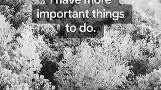 Empowering life