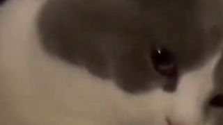 Funyclips, shocked when you see your friends dance and vibing