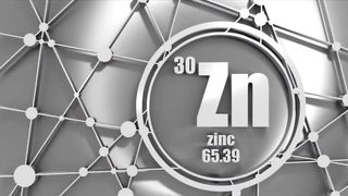 Importance of Zinc for the Immune System