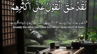 Quran 175