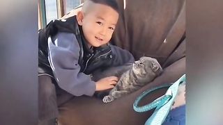 Funny Cat Viral Video 118