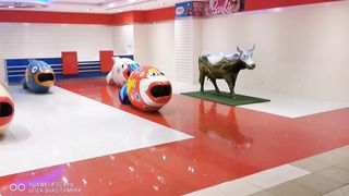 Mega Mall tour. UAE