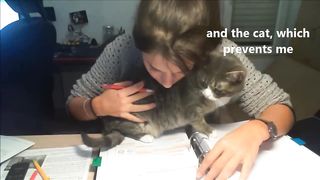 Trying to study with a cat