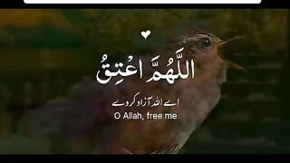 Quran 176