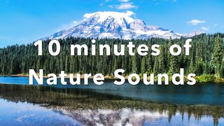 Morning meditation_ relaxing nature sounds for 10 minutes