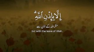 Quran 186