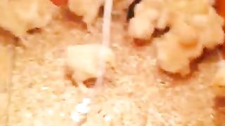 The yellow little beaks
