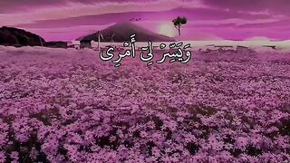 Quran 191
