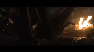 PREDATORS Clip Royce Frees Predator