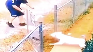 Animal funny part 1