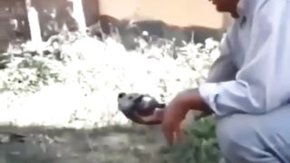 Funny animal part 2 2