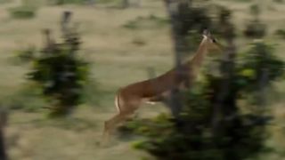 Deuxième partie du documentaire