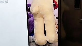 Boneka tedy