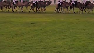 Tiktok_1703914641321.