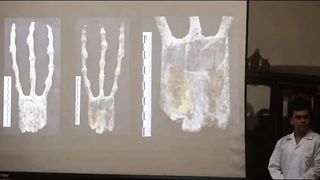 Big revelation in scientific analysis of 'space creature' mummies found in Peru