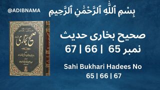 Sahih Bukhari Hadeeps no 65 | 66 | 67