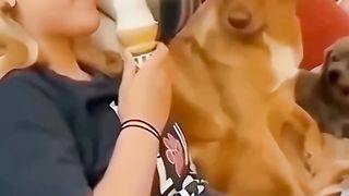 Funny animal part 6 2