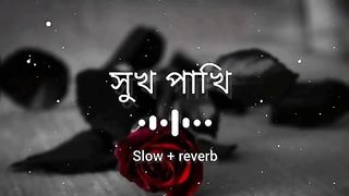 2024new songs sad songs