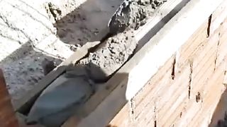 How to lay a brick with your own hands