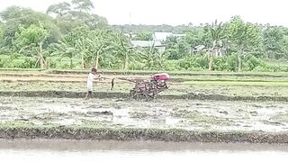 Plow the fields