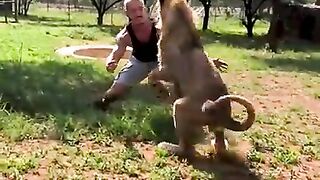 LION JUMP_ _shorts(720P_HD).mp4
