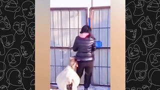 Funny moments Try not to laugh - Compilation Part1