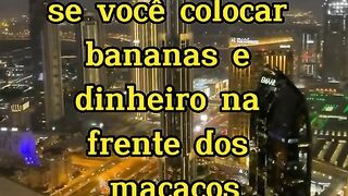 motivação , dinheiro