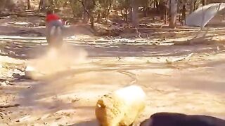 Funny videos