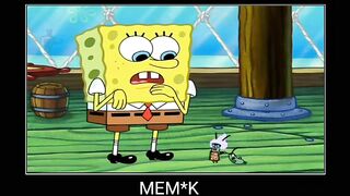 Funny videos