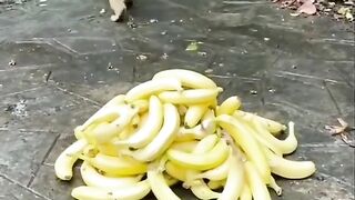 Hora do lanche! Corre pessoal