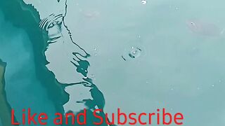 Fishingfish