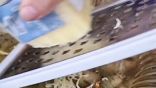 bolinho de arroz