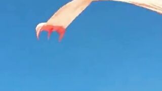 Horrifict taiwanese Kite accident