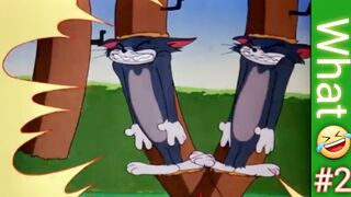 Tom and Jerry |classic cartoon Complains