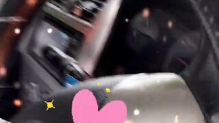 Cat's car trip