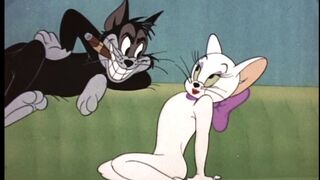 (click ad inside video)Tom and Jerry lets have fun