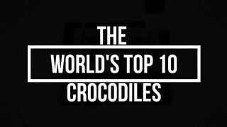 Crocodiles most dangerous