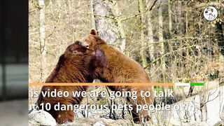 dangerous animals people