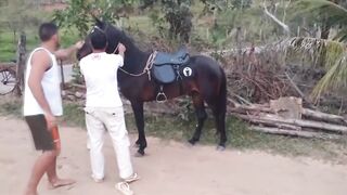 O Peão ABEIA Beijou o CHÃO