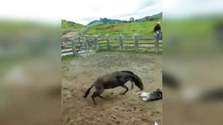 ESSA É A VIDA BRUTA DO MULADEIRO