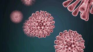 Coronavirus, Covid19