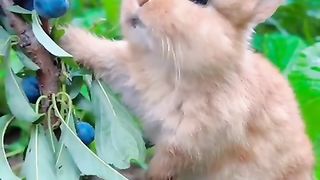 cute ظريف بشكل لا يصدق