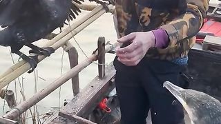 Amazing videos vol 280