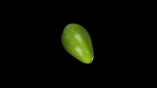 one avocado