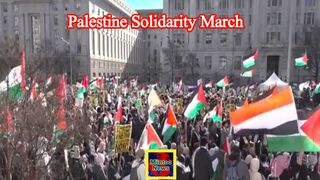 Tens of thousands march in Washington, DC in solidarity with Palestine
