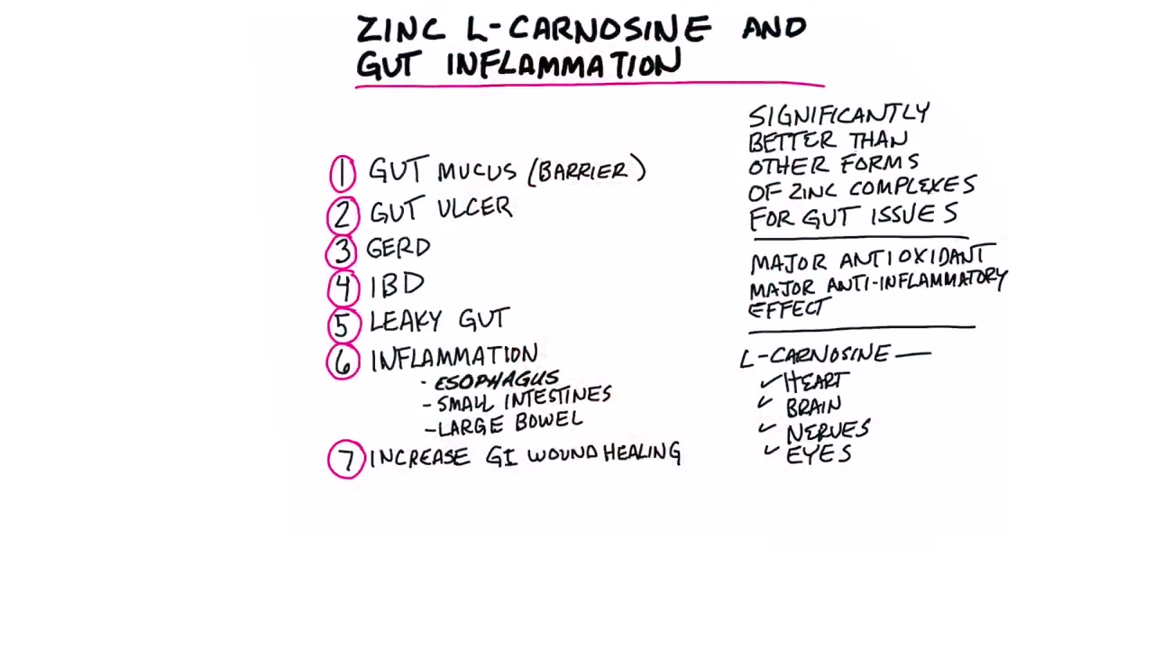 Zinc LCarnosine and Gut Inflammation Febspot