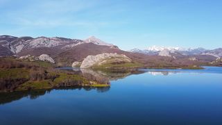 "Wild Wonder: A Cinematic Journey through Nature's Timeless Beauty"