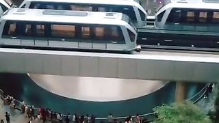 trending_6706418054945150632